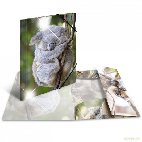 HERMA Sammelmappe A4 Glossy Koala Polypr