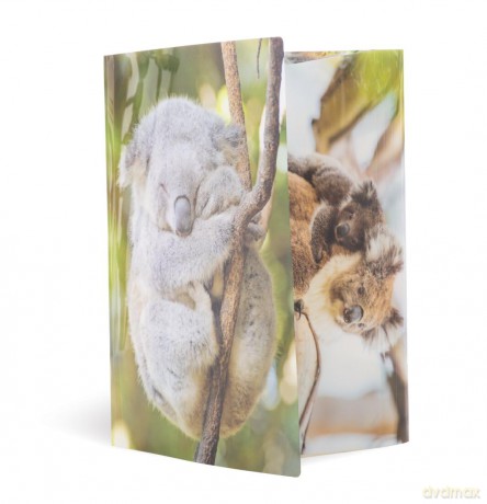 HERMA Sammelmappe A4 Glossy Koala Polypr