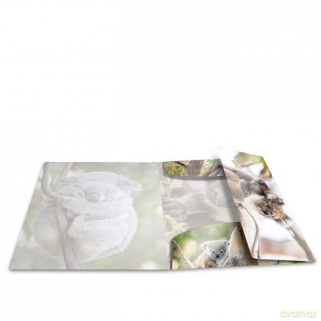 HERMA Sammelmappe A4 Glossy Koala Polypr