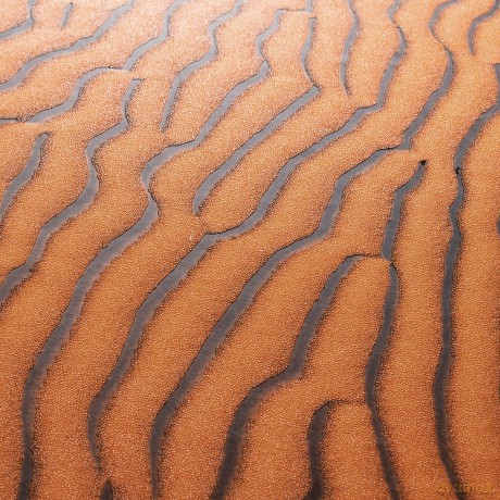 Herma: HERMA Sammelmappe Nature DIN A4 Sand
