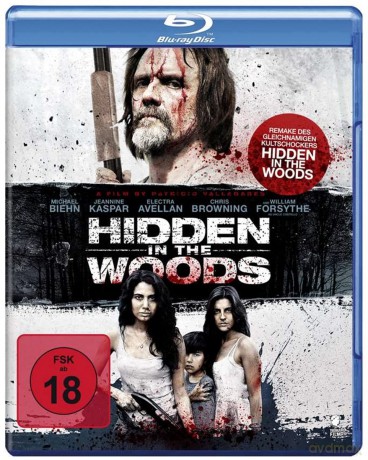Hidden In The Woods