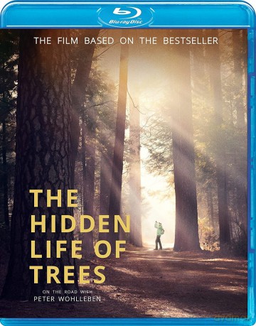 Hidden Life Of Trees [Blu-Ray]