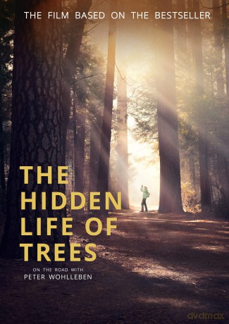 Hidden Life Of Trees [DVD]
