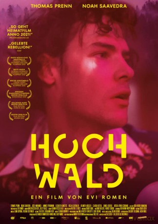 Hochwald [DVD]