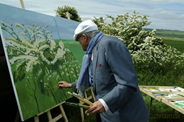 Hockney [DVD]