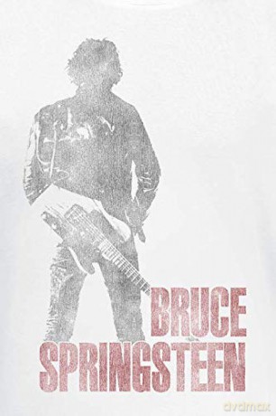 Bruce Springsteen: Hologram