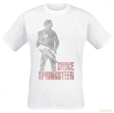 Bruce Springsteen: Hologram