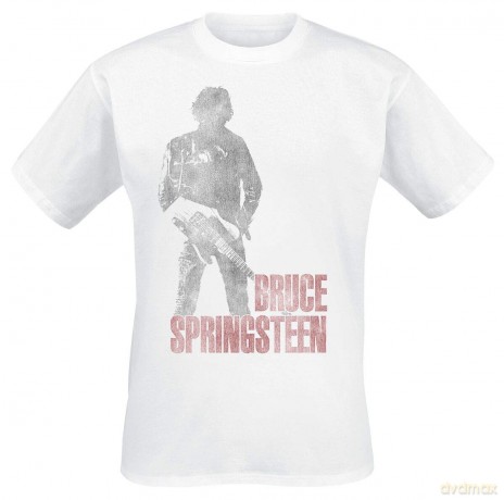 Bruce Springsteen: Hologram