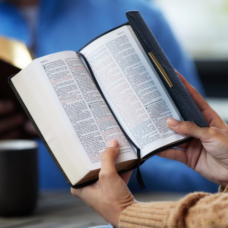 Holy Bible Classic Compani Hb [KSIĄŻKA]