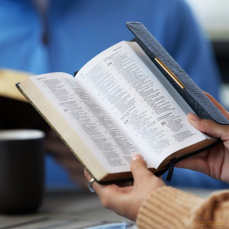 Holy Bible Classic Compani Hb [KSIĄŻKA]