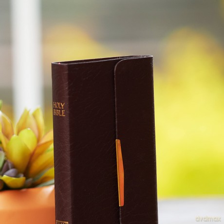 Holy Bible Classic Compani Hb [KSIĄŻKA]