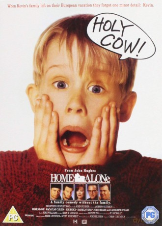 Home Alone Play Exclusive 2010 [DVD]