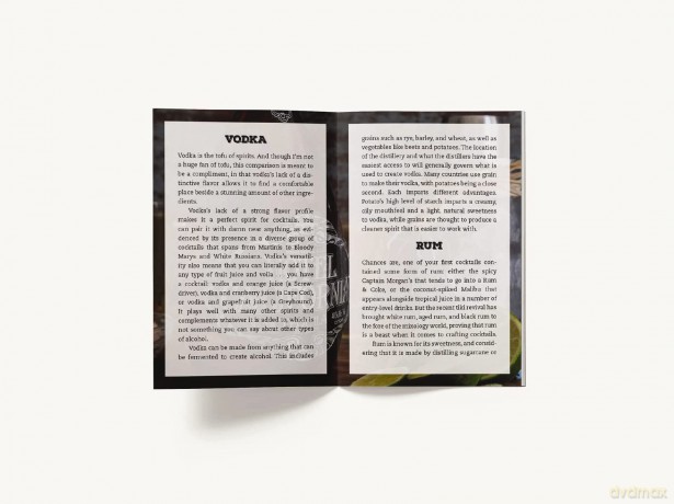 Home Bartender Cocktail Ca Car [KSIĄŻKA]
