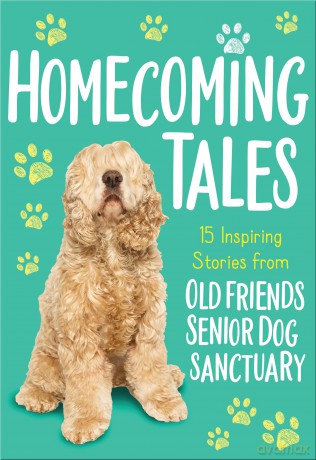 Homecoming Tales [KSIĄŻKA]