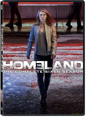 Homeland: Season 6 [4DVD]
