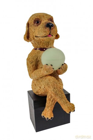 Rotary Hero: Hond Solar Light