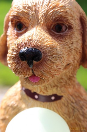 Rotary Hero: Hond Solar Light