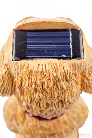 Rotary Hero: Hond Solar Light