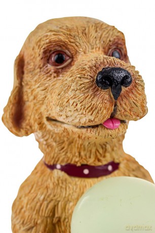 Rotary Hero: Hond Solar Light