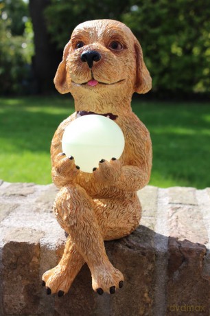 Rotary Hero: Hond Solar Light