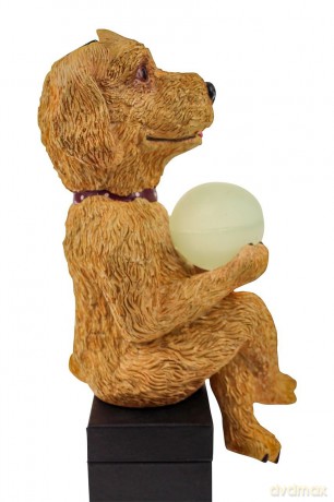 Rotary Hero: Hond Solar Light