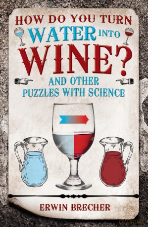 How Do You Turn Water into Wine [KSIĄŻKA]