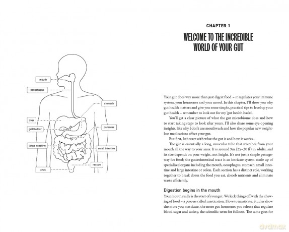 How to Gut Health [KSIĄŻKA]