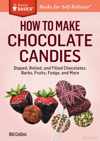How to Make Chocolate Candies [KSIĄŻKA]