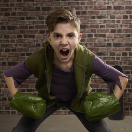 Hulk Gamma Smash Fists Role Play