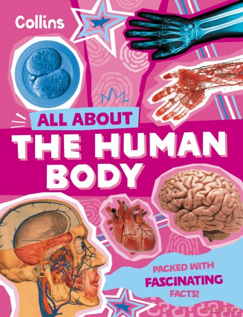 Human Bodyall About [KSIĄŻKA]