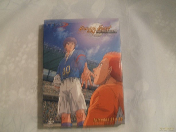 Hungry Heart - Wild Striker [3DVD]