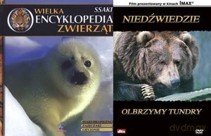 Wielka encyklopedia zwierząt. Ssaki. Tom 6 [KSIĄŻKA]
