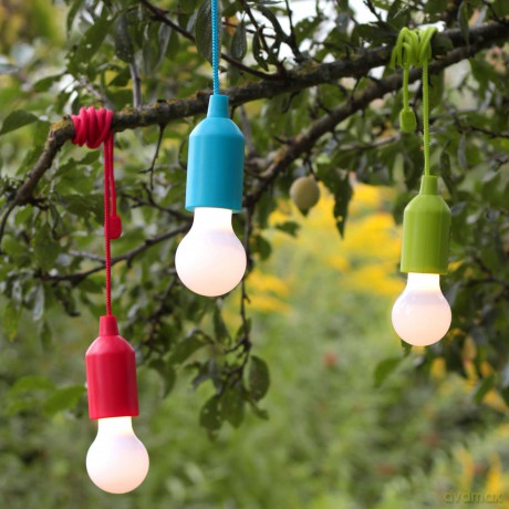 Hycell: HyCell Pull-Light PL1W LED-Outdoor-Lampe