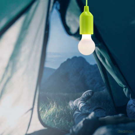 Hycell: HyCell Pull-Light PL1W LED-Outdoor-Lampe