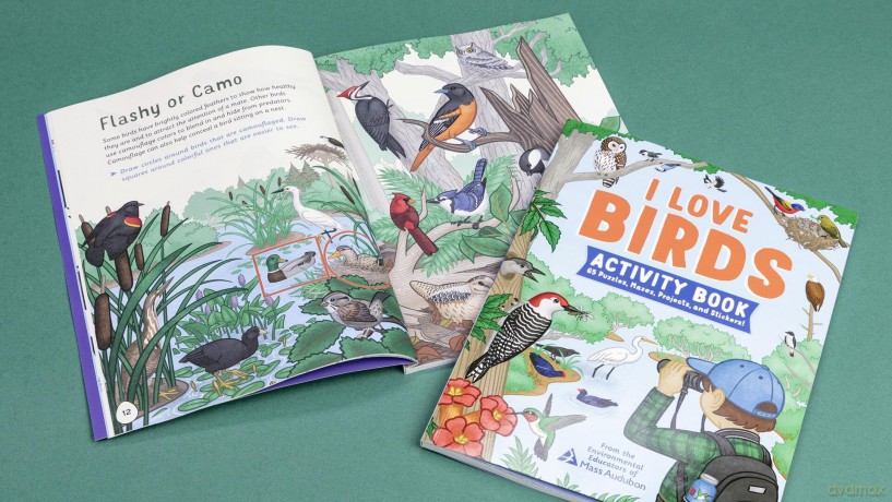 I Love Birds Activity Book [KSIĄŻKA]