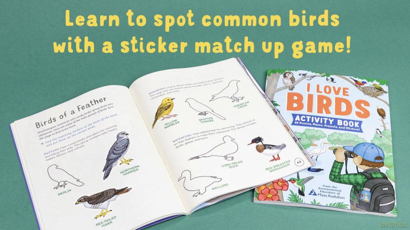 I Love Birds Activity Book [KSIĄŻKA]