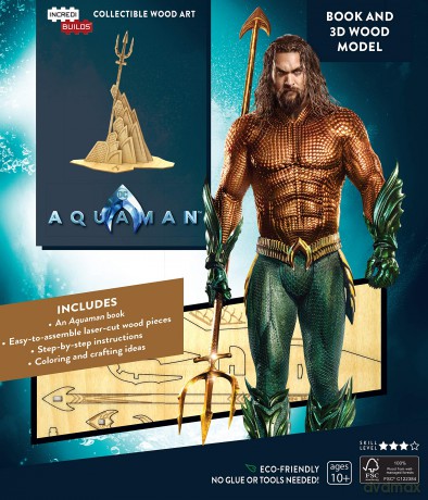 Ib Dc Aquaman [KSIĄŻKA]