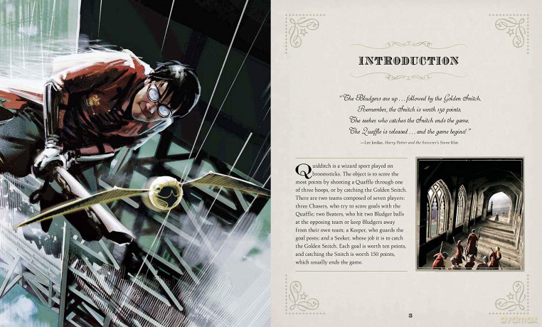 Ib Harry Potter Golden Snitch New [KSIĄŻKA]
