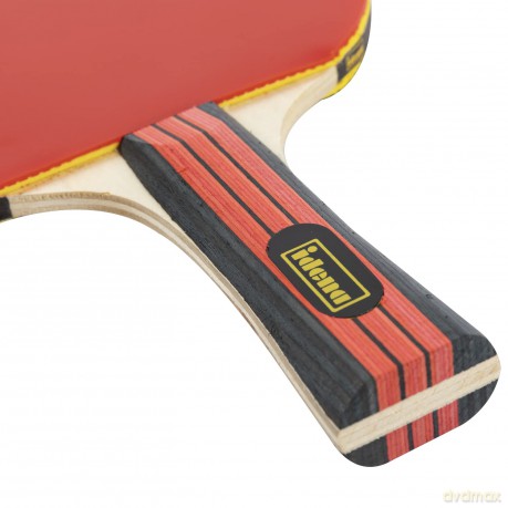 Idena Tischtennis-Set Profi