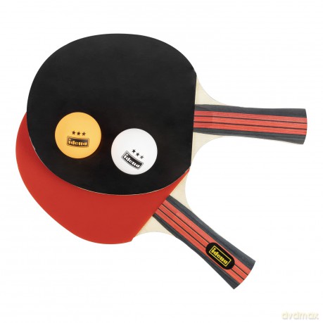 Idena Tischtennis-Set Profi