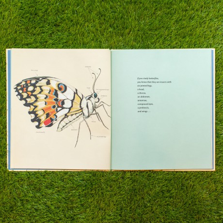 If You Like Butterflies [KSIĄŻKA]