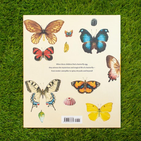 If You Like Butterflies [KSIĄŻKA]