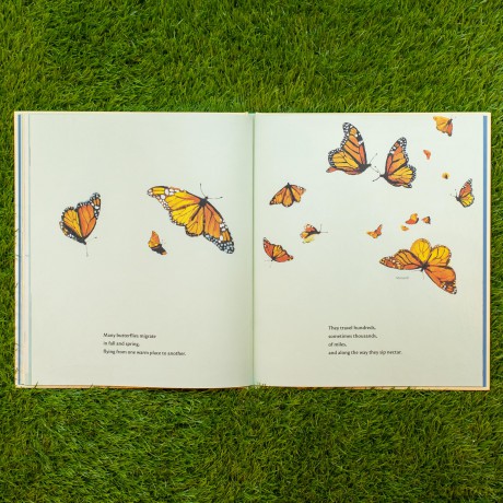 If You Like Butterflies [KSIĄŻKA]