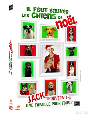 Il Faut Sauver Les Chiens De Noel [DVD]