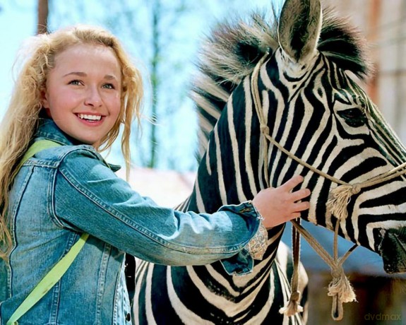 Im Rennstall Ist Das Zebra Los! [DVD]