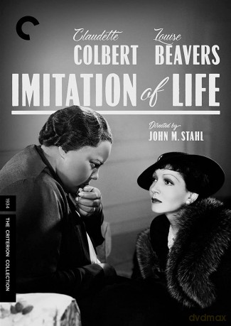 Imitation Of Life [DVD]