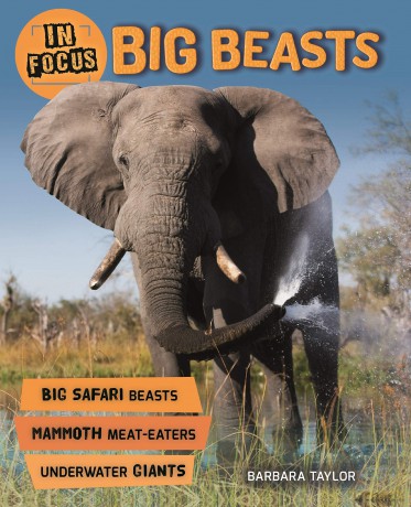 In Focus Big Beasts [KSIĄŻKA]