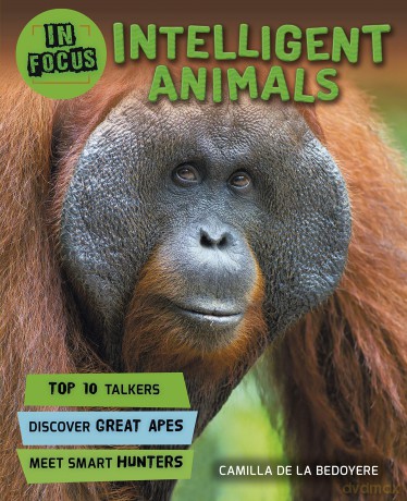 In Focus Intelligent Animals [KSIĄŻKA]