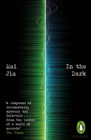 In the Dark [KSIĄŻKA]