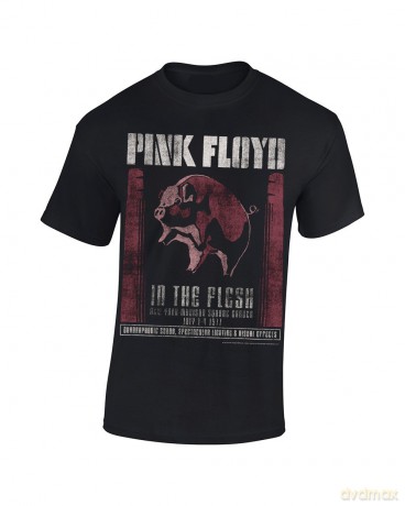 Pink Floyd: In The Flesh